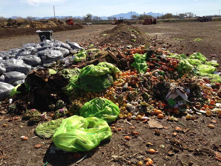 Scraps on Scraps! Tucson’s New Food Waste Pick Up Service