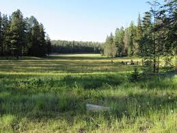 Grant Creek Trail