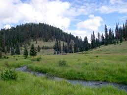 South Fork Trail