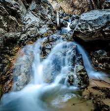 The Creek, an Old Friend, Was Dry
