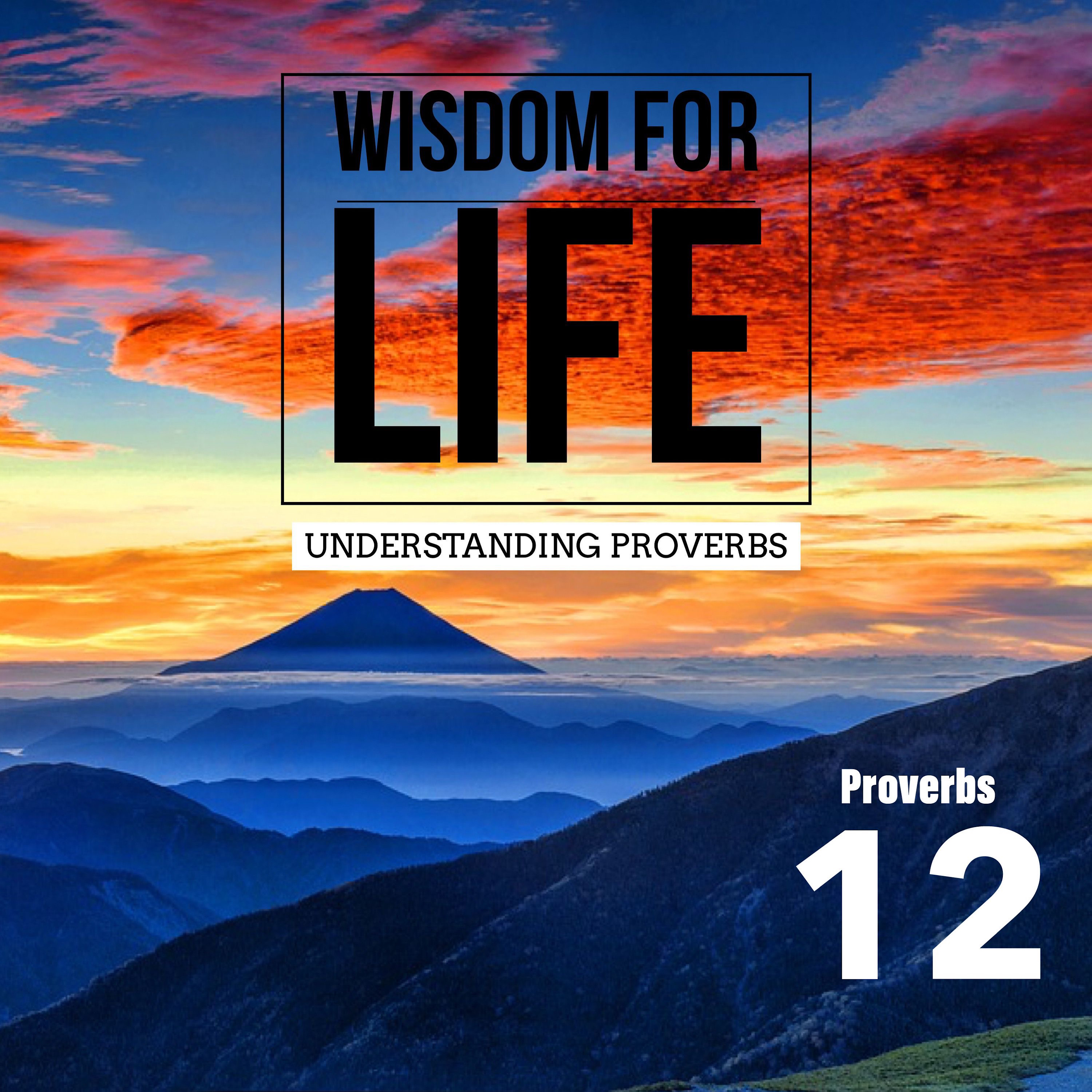 UNDERSTANDING PROVERBS 12