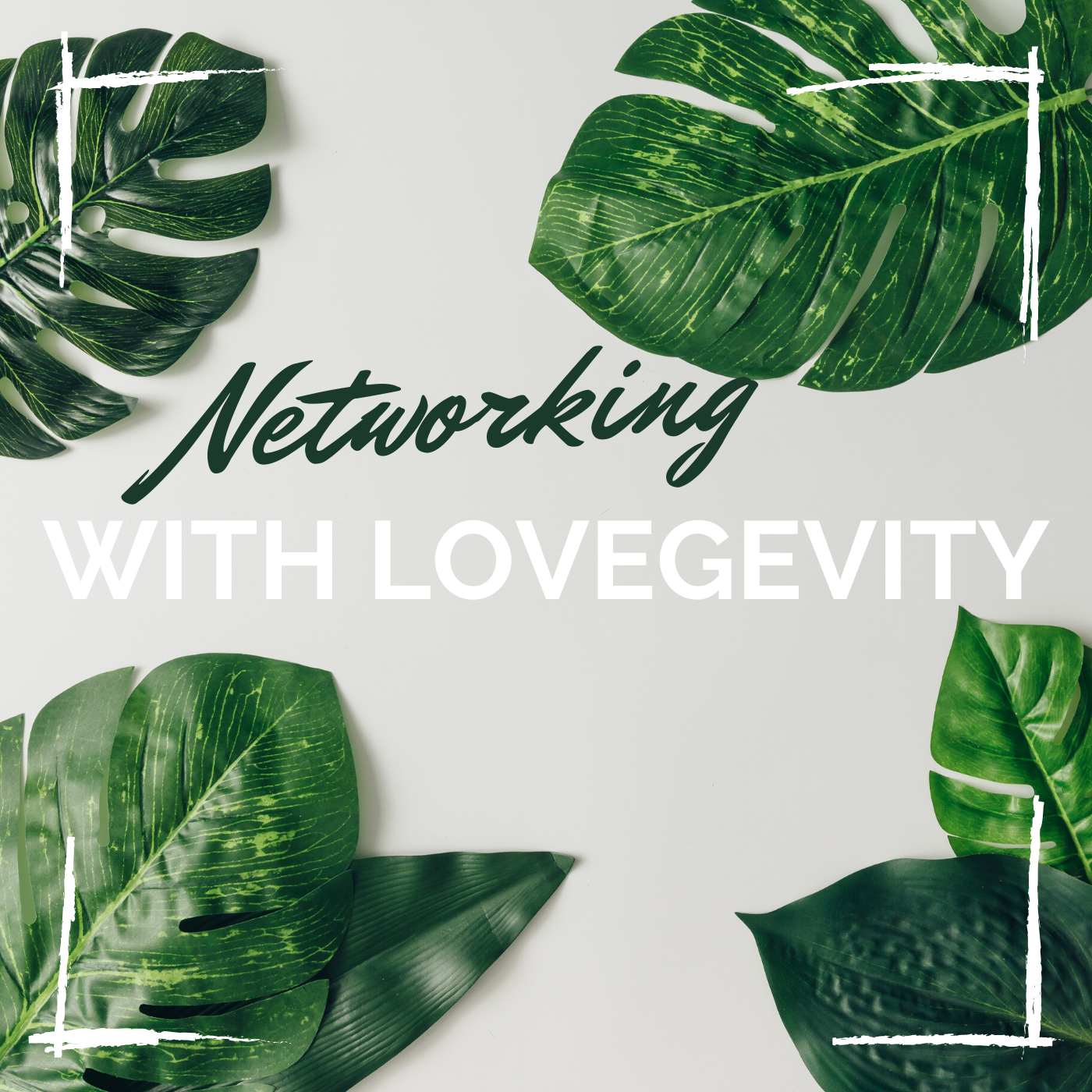 Networking with Lovegevity Part Two