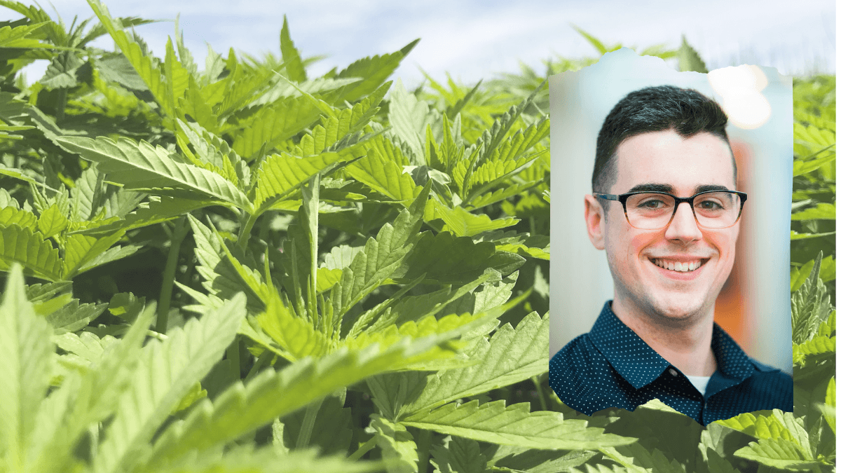 Cannabis Marketing And The Future Of CBD, With The Brightfield Group