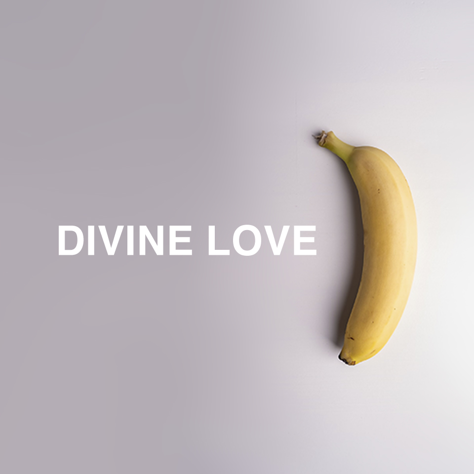 Divine Love - Naeem Fazal