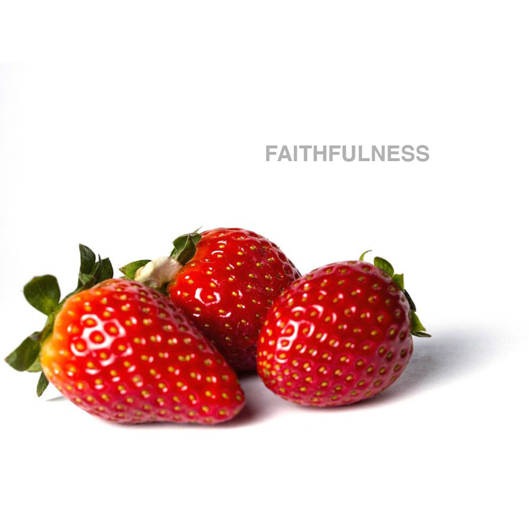 Faithfulness  - Naeem Fazal