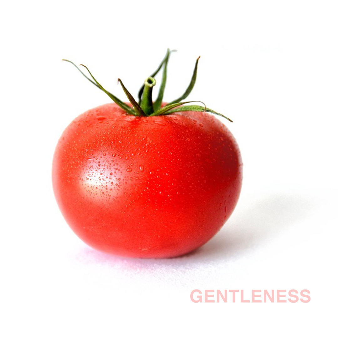 Gentleness  - Naeem Fazal