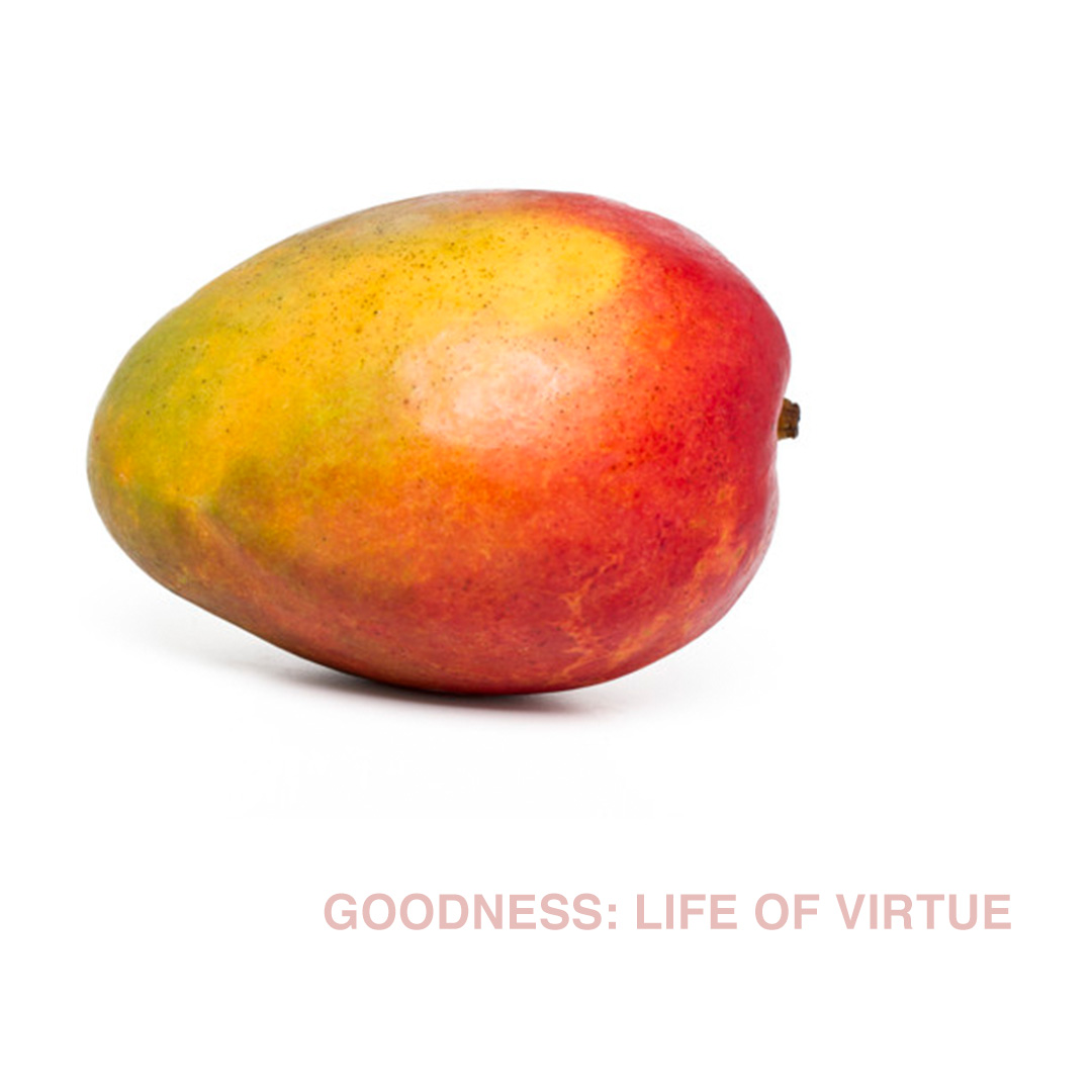 Goodness: Life of Virtue  - Naeem Fazal