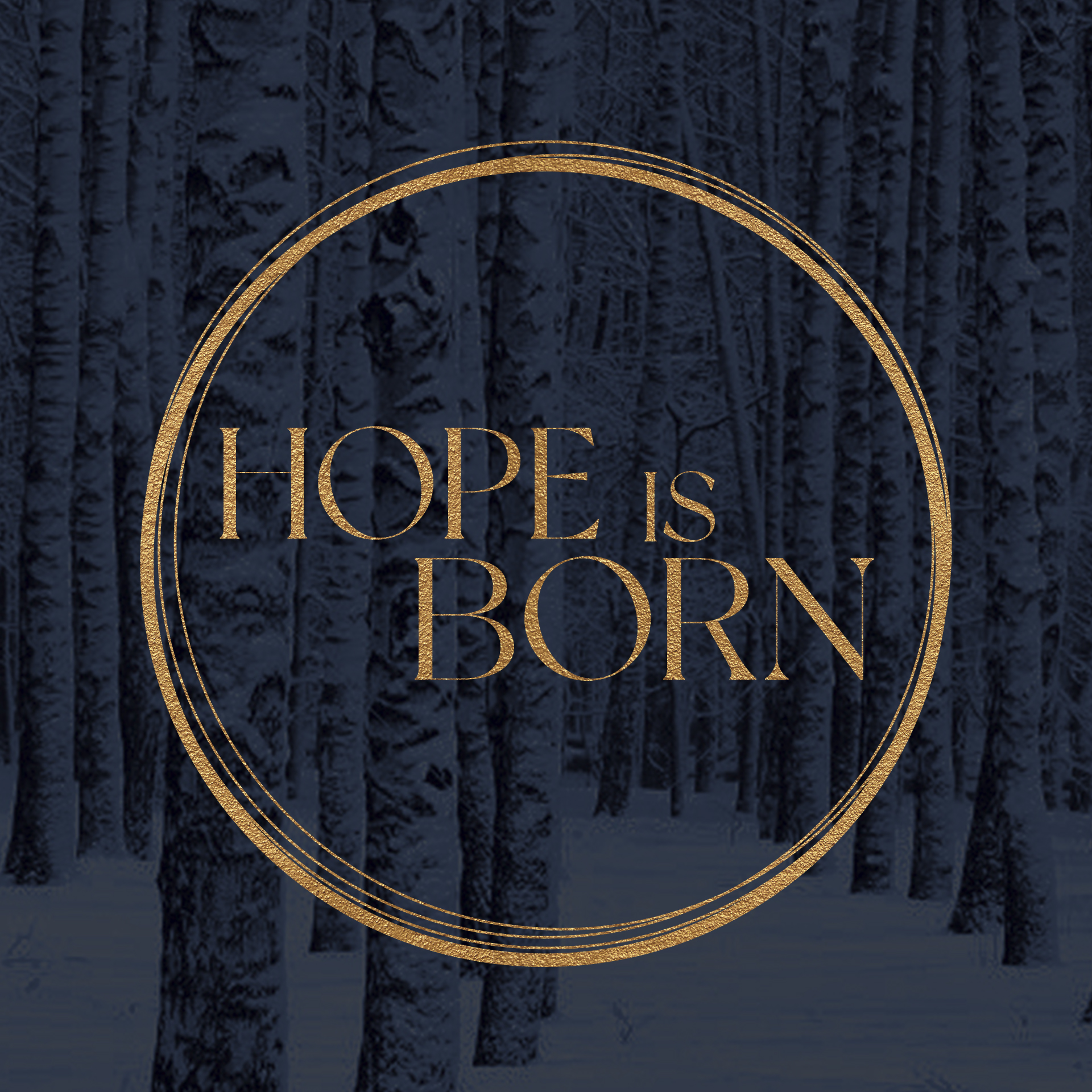 Hope is Born - Kristin Young (part 2)