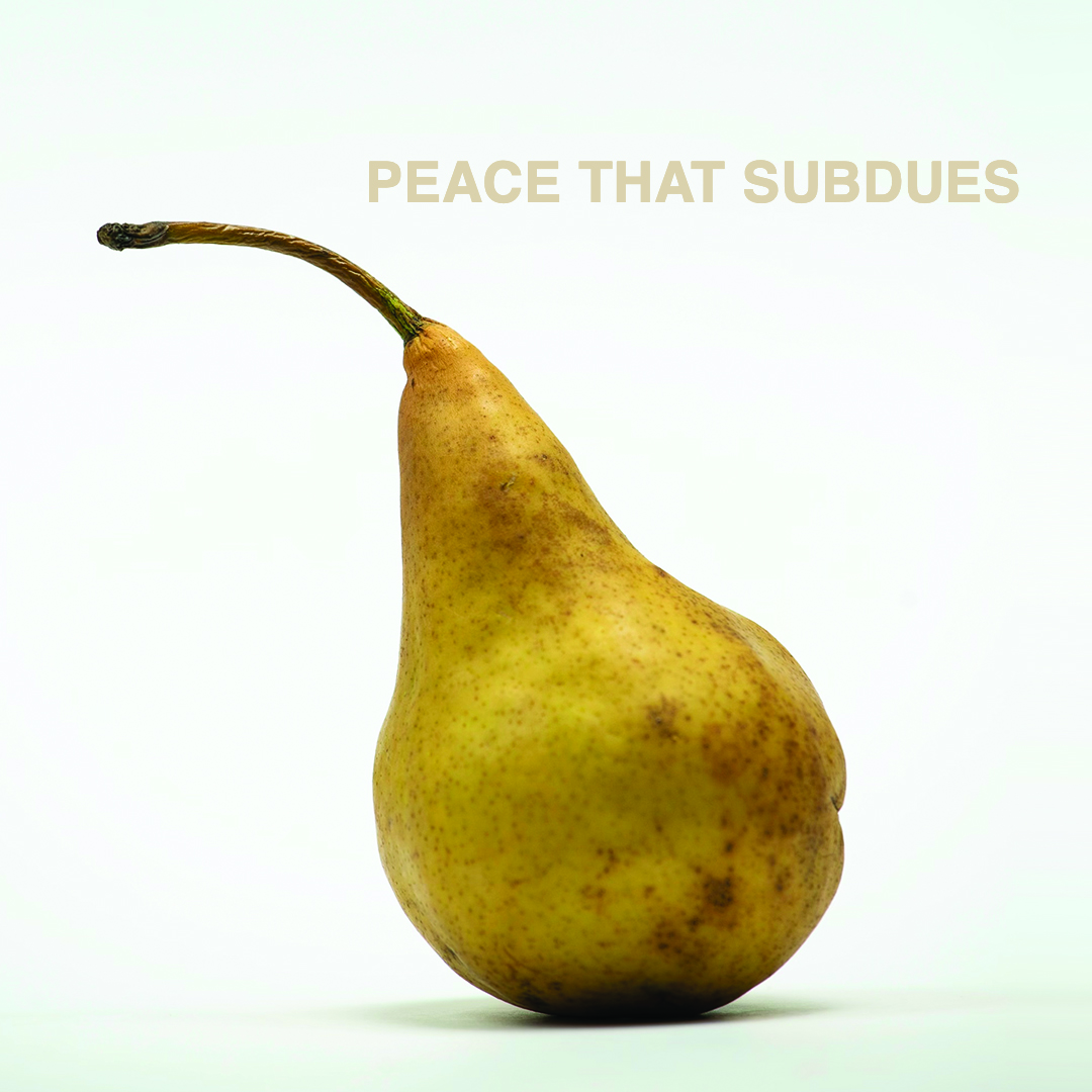 Peace That Subdues - Naeem Fazal