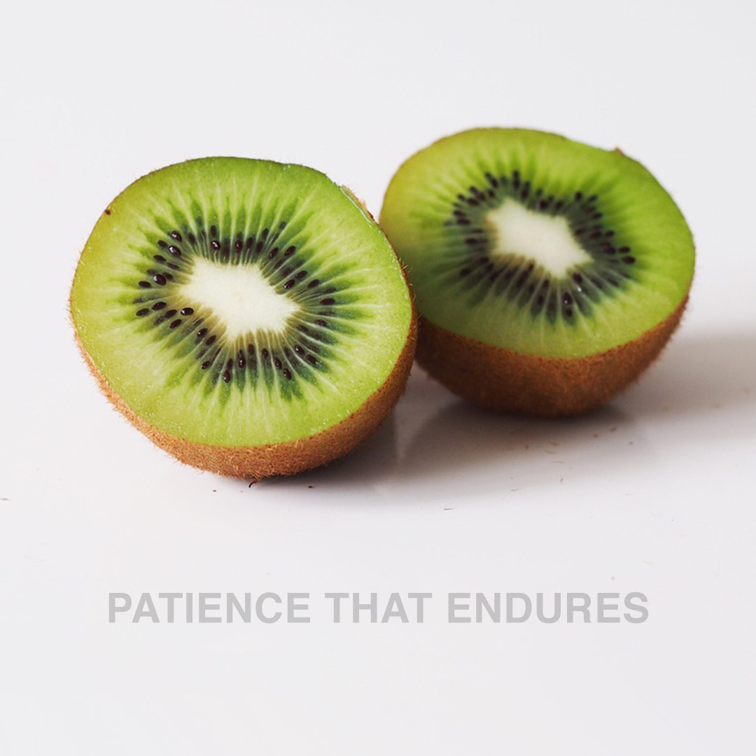 Patience That Endures - Naeem Fazal