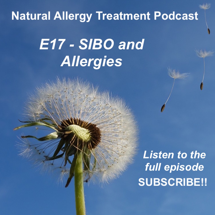 E17 - SIBO and Allergies 