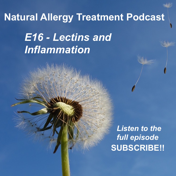 E16 - Lectin Sensitivity and Inflammation