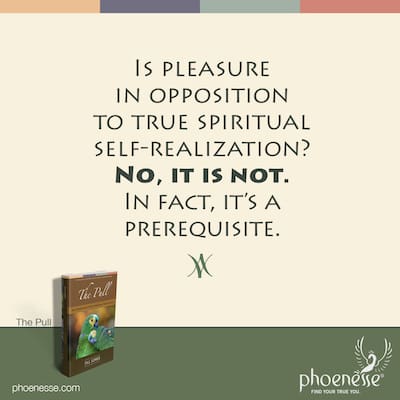 5 Pleasure: The full pulsation of life
