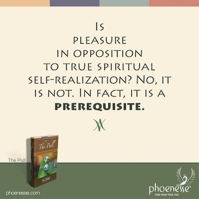 5 Pleasure: The full pulsation of life