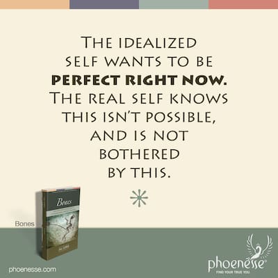 6 The origin and outcome of the Idealized Self-Image