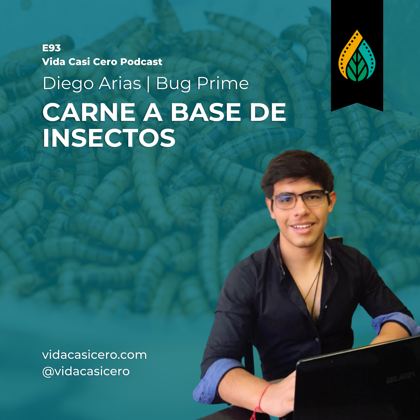 E 93 - Carne a base de insectos