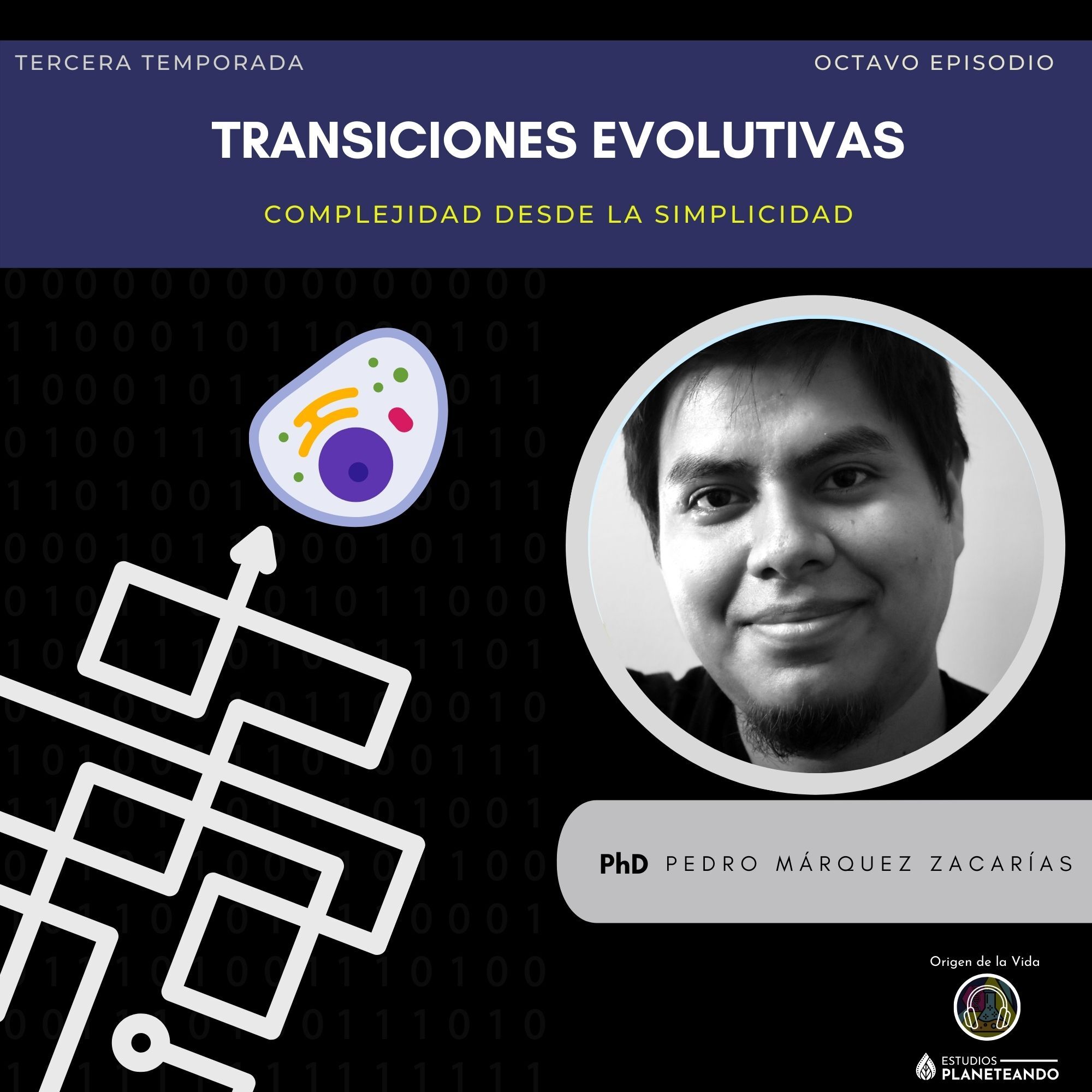 Transiciones evolutivas T3 E8