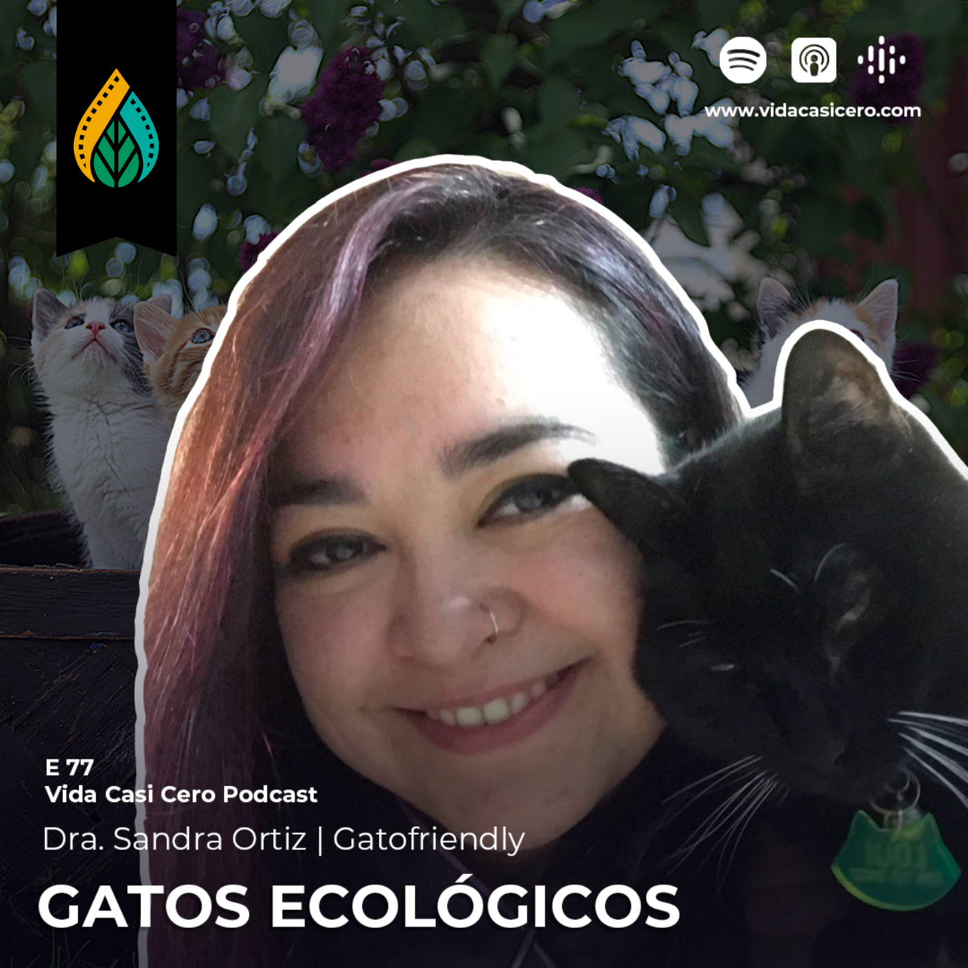 E77 - Gatos Ecológicos