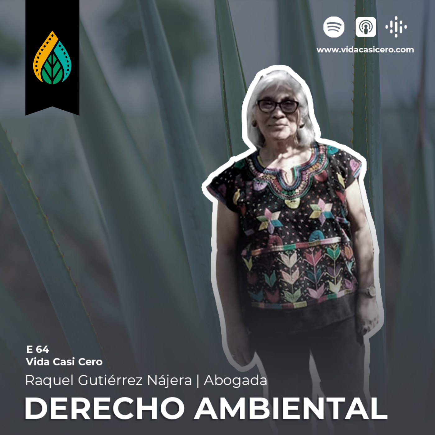 E64 - Derecho Ambiental | Raquel Gutiérrez.