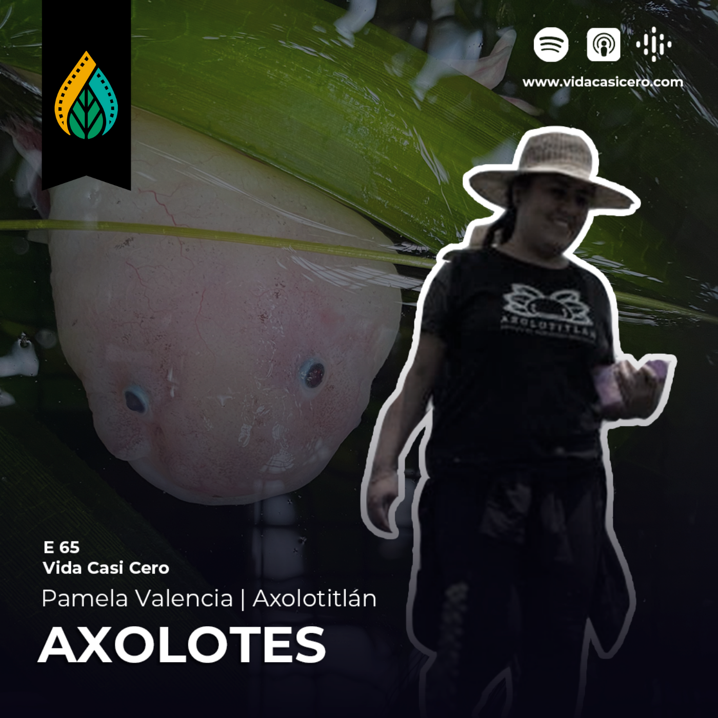 E65 - Axolotes | Axolotitlán