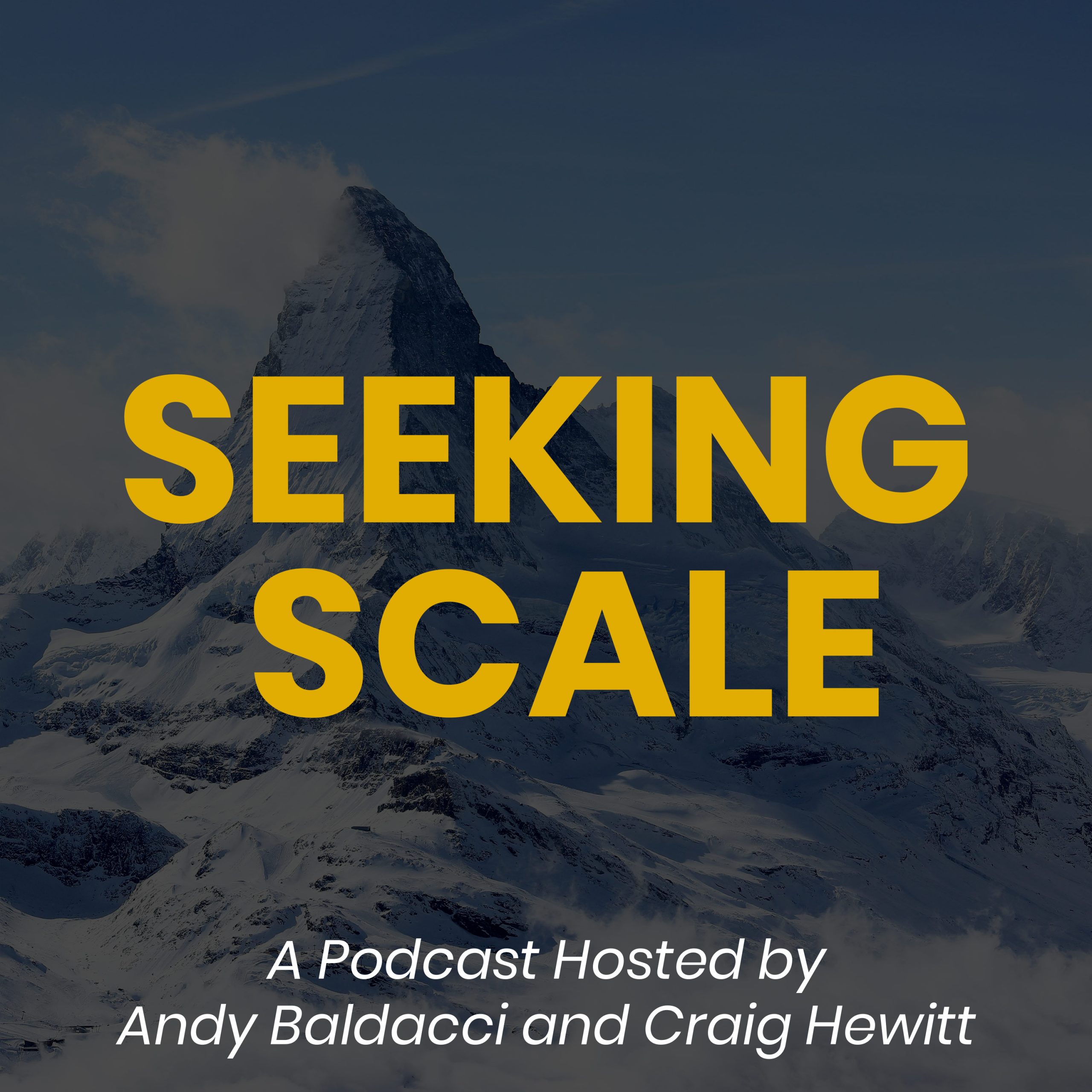 Seeking Scale artwork