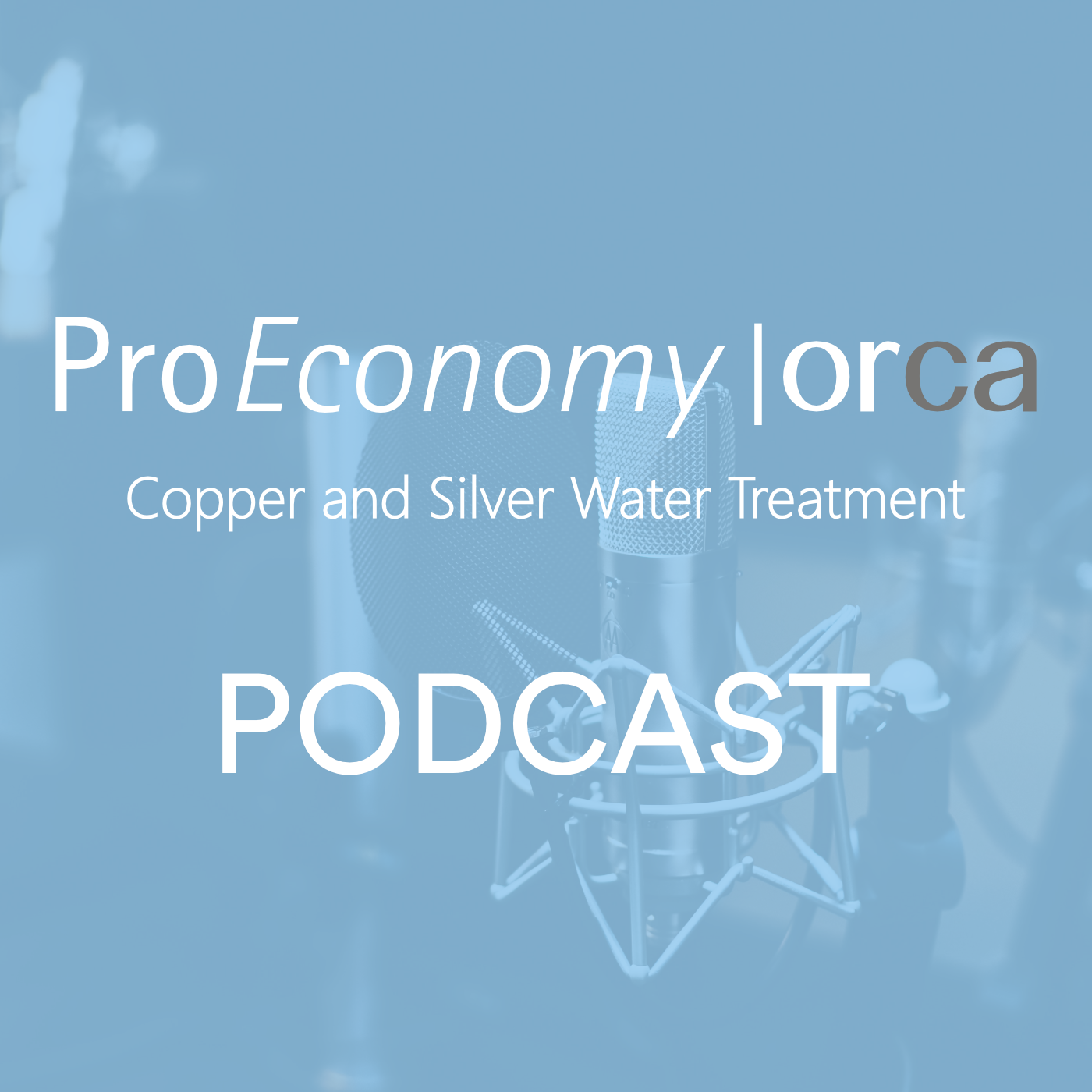 Matt Morse, Chairman Of The Legionella Control Association, Joins ProEconomy For New Podcast