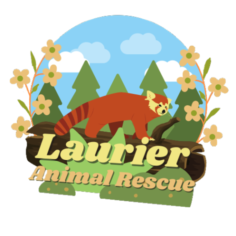 Campus Connections Ep. 9 - Laurier Animal Rescue