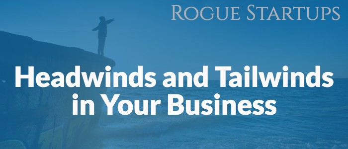 RS169: Headwinds and Tailwinds in Your Business