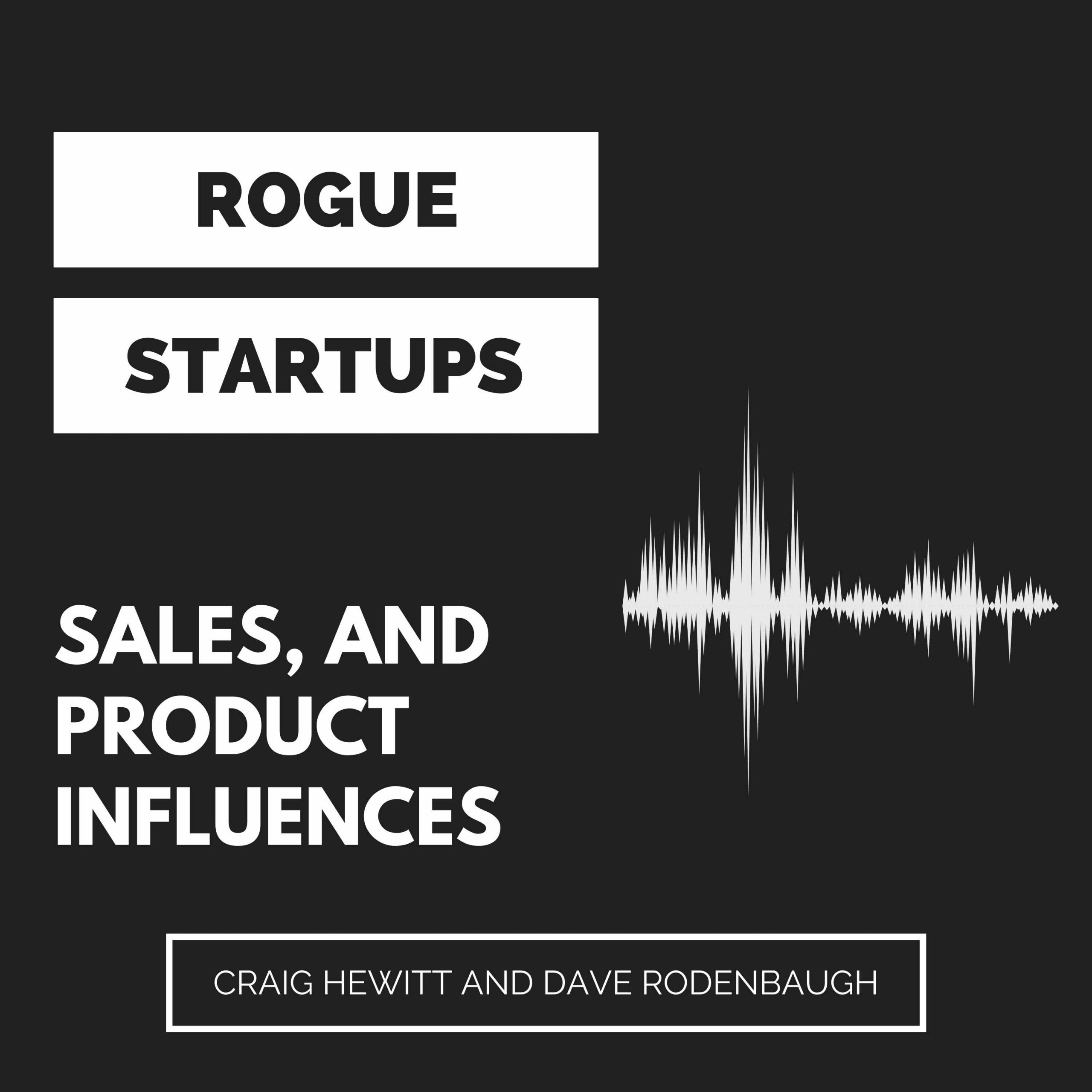 RS252: Sales and Product Influences