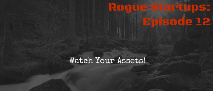 RS012: Watch Your Assets!