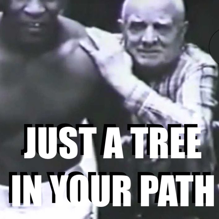 022: Just a tree in your path - A short story from Mike Tyson&#39;s book IRON AMBITION