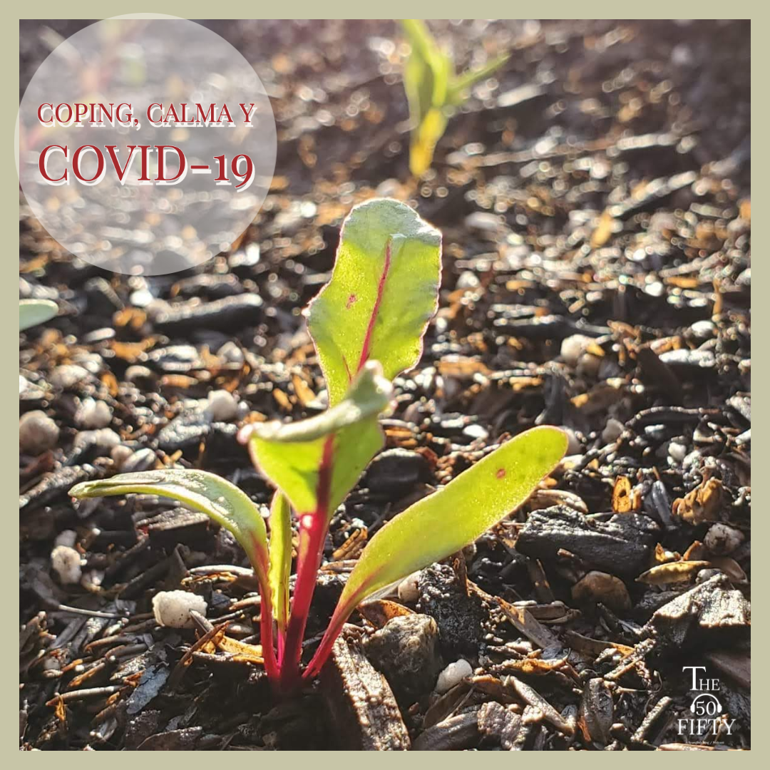 Coping, Calma y covid-19