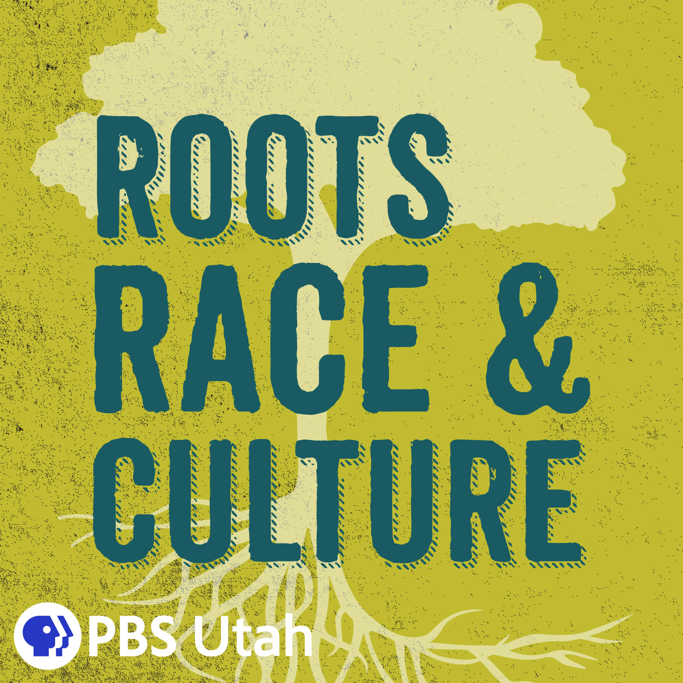 Roots, Race Culture Race The Beauty Standard Season Episode, 57% OFF