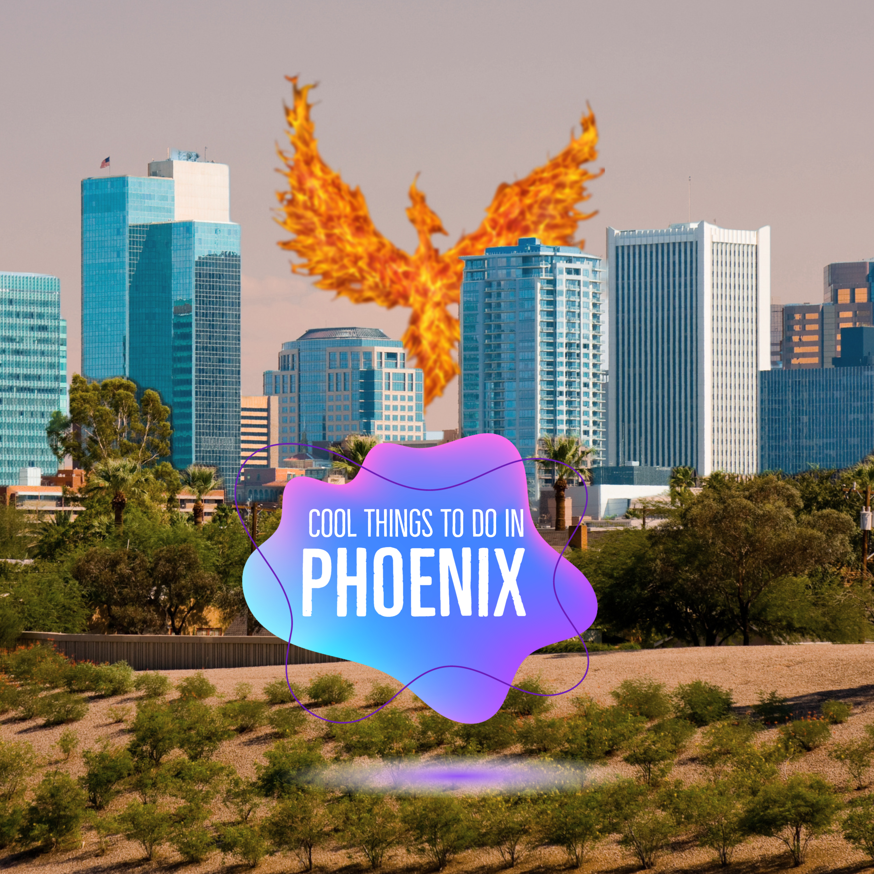 Are you in Phoenix this Summer? Finding cool stuff to do despite the heat!