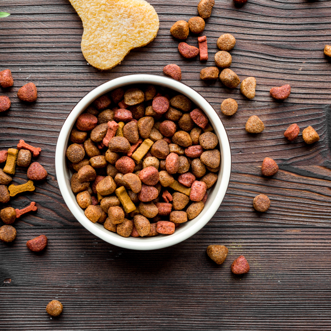  Pet Food Recall Alert