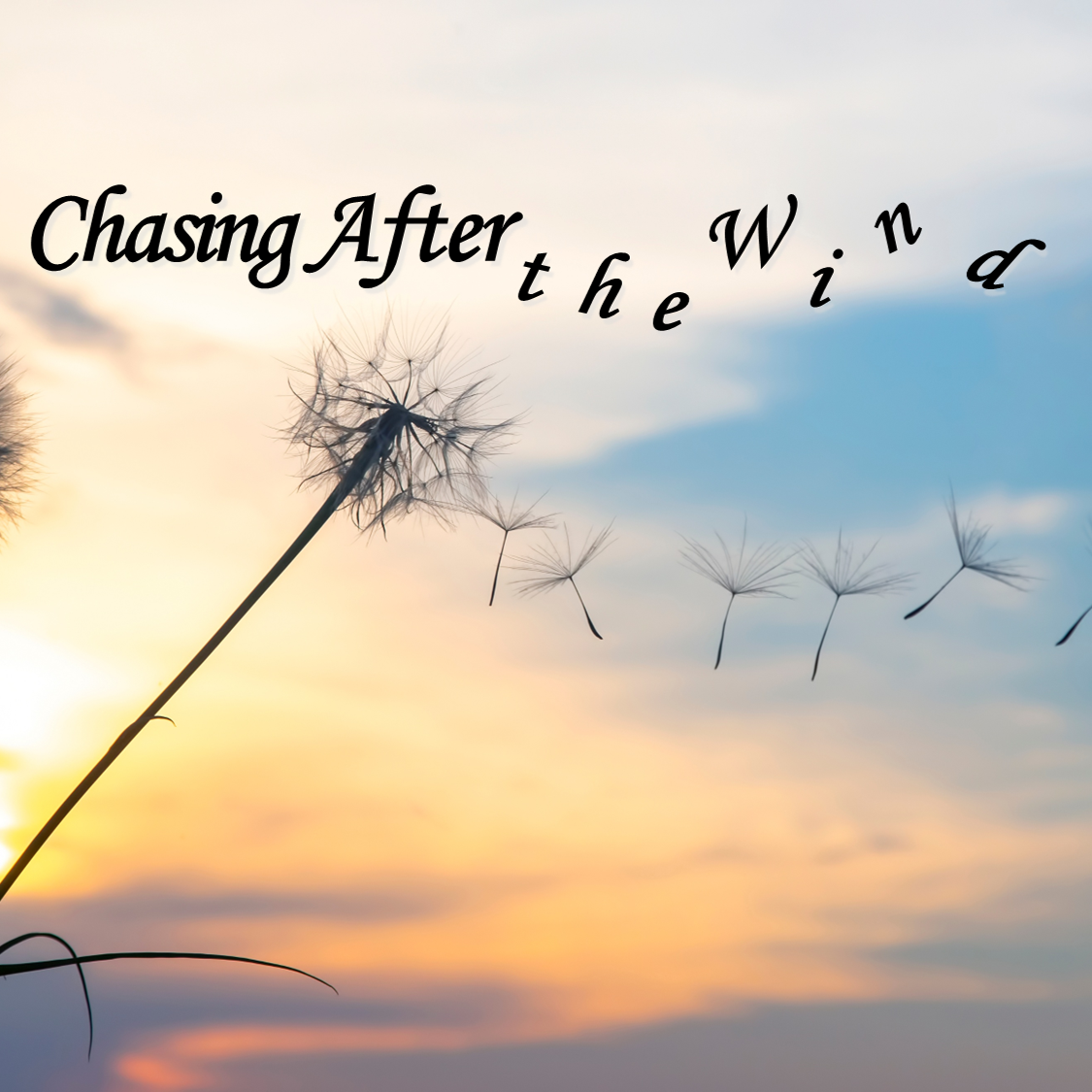 The Path of the Wind
