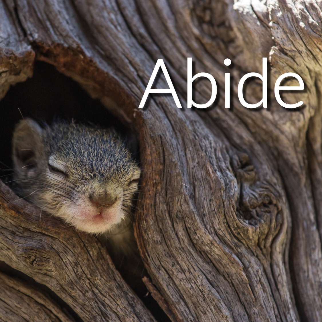A Walk that Abides