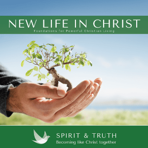 Session 14 - The New Birth