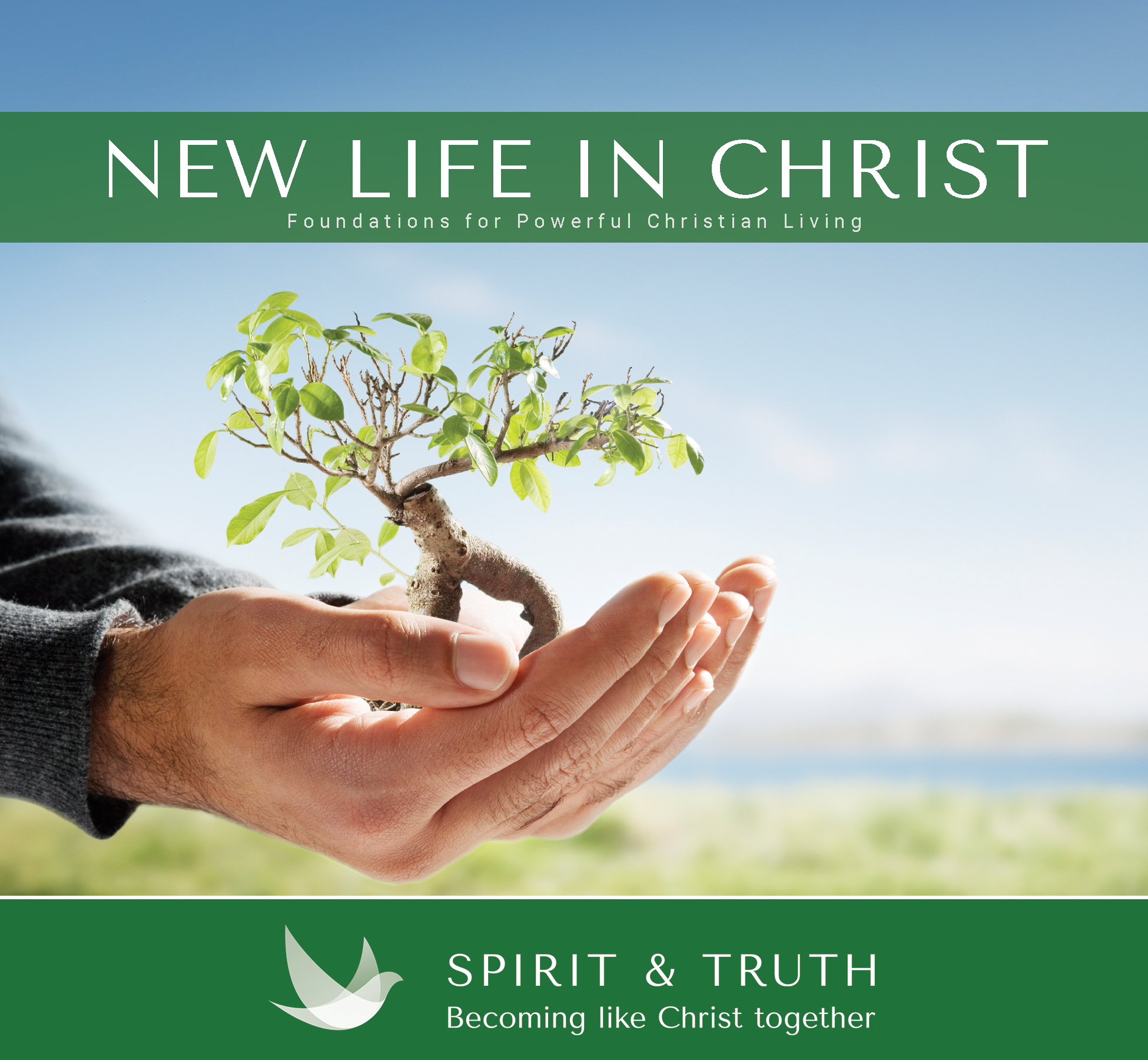 New Life in Christ: Foundations for Powerful Christian Living