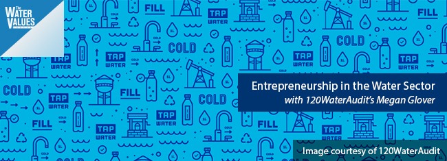 Entrepreneurship in the Water Sector