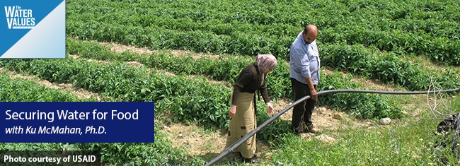 Securing Water for Food