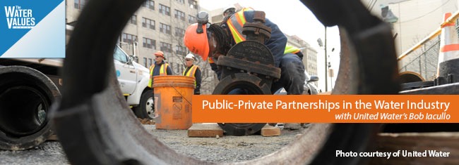 Public-Private Partnerships in the Water Industry