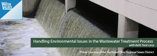 Handling Environmental Issues in the Wastewater Treatment Process