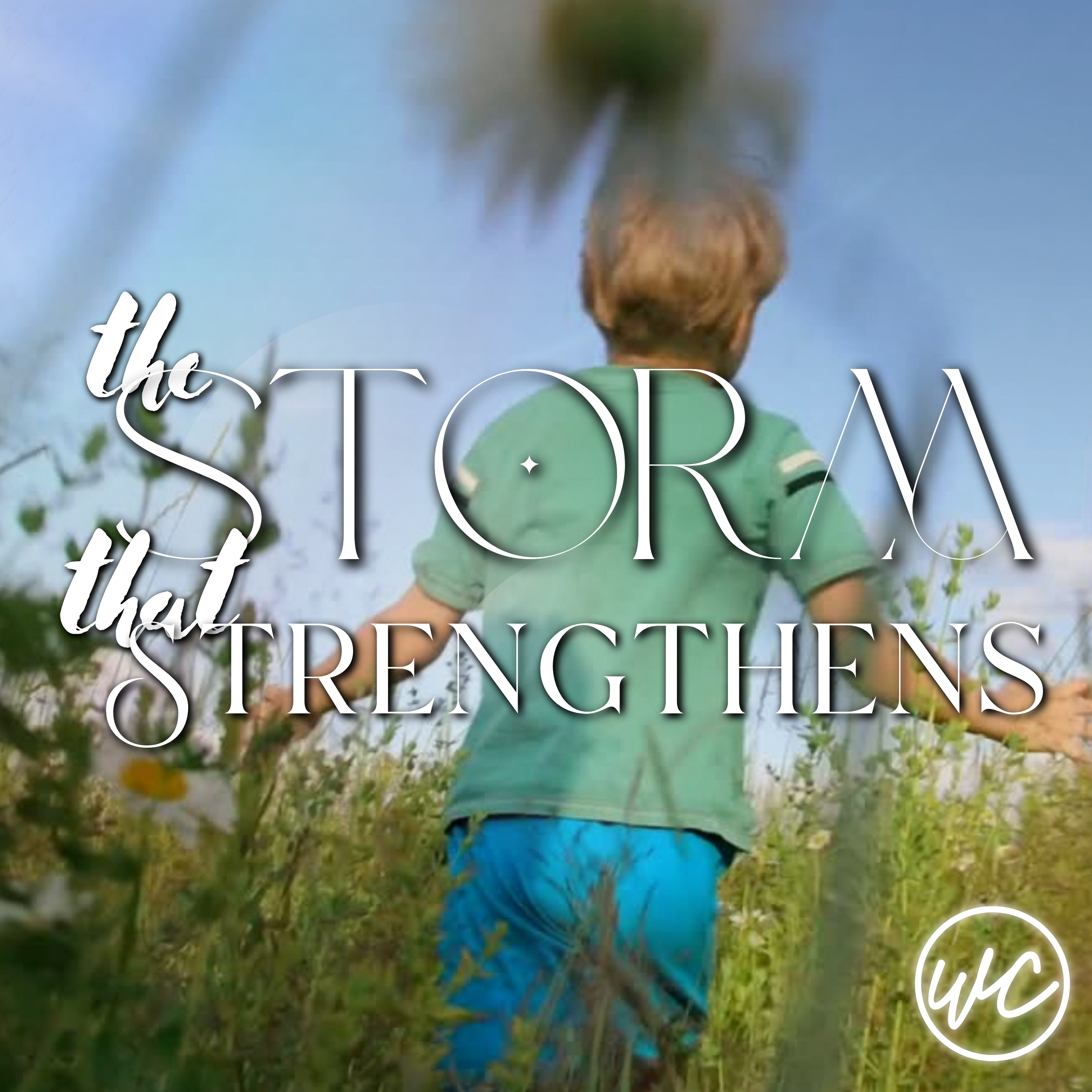 The Storm that Strenghtens - Caitlin Self