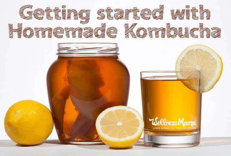 36: Getting Started With Homemade Kombucha