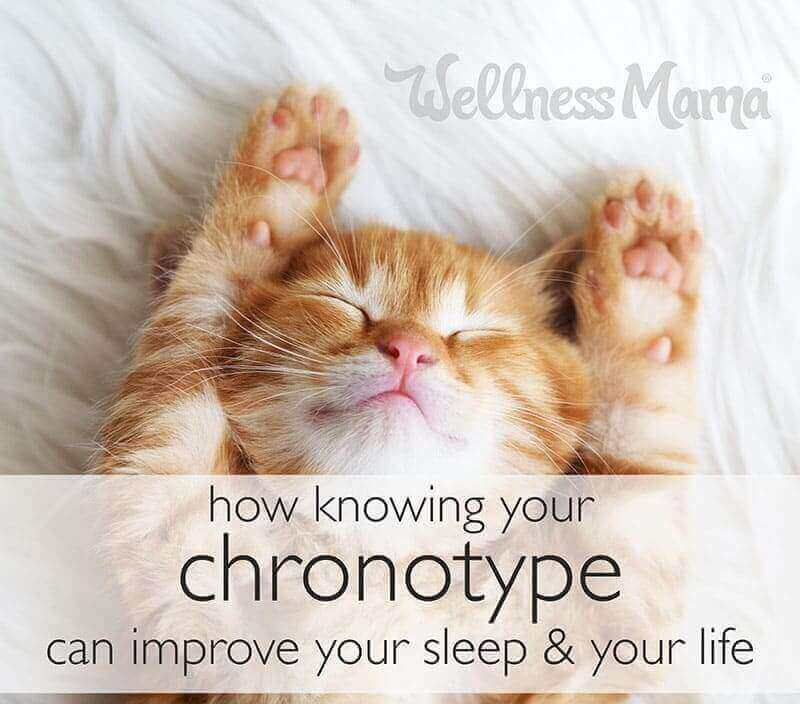 058: Dr. Michael Breus on Improving Sleep Through Chronotypes