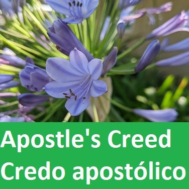 Apostle's Creed