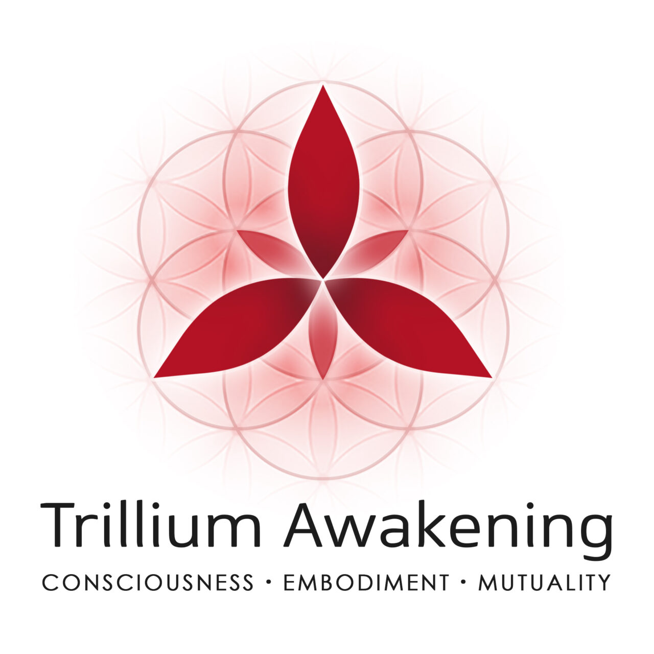 Consciousness Prior to Intellect with Allan Morelock