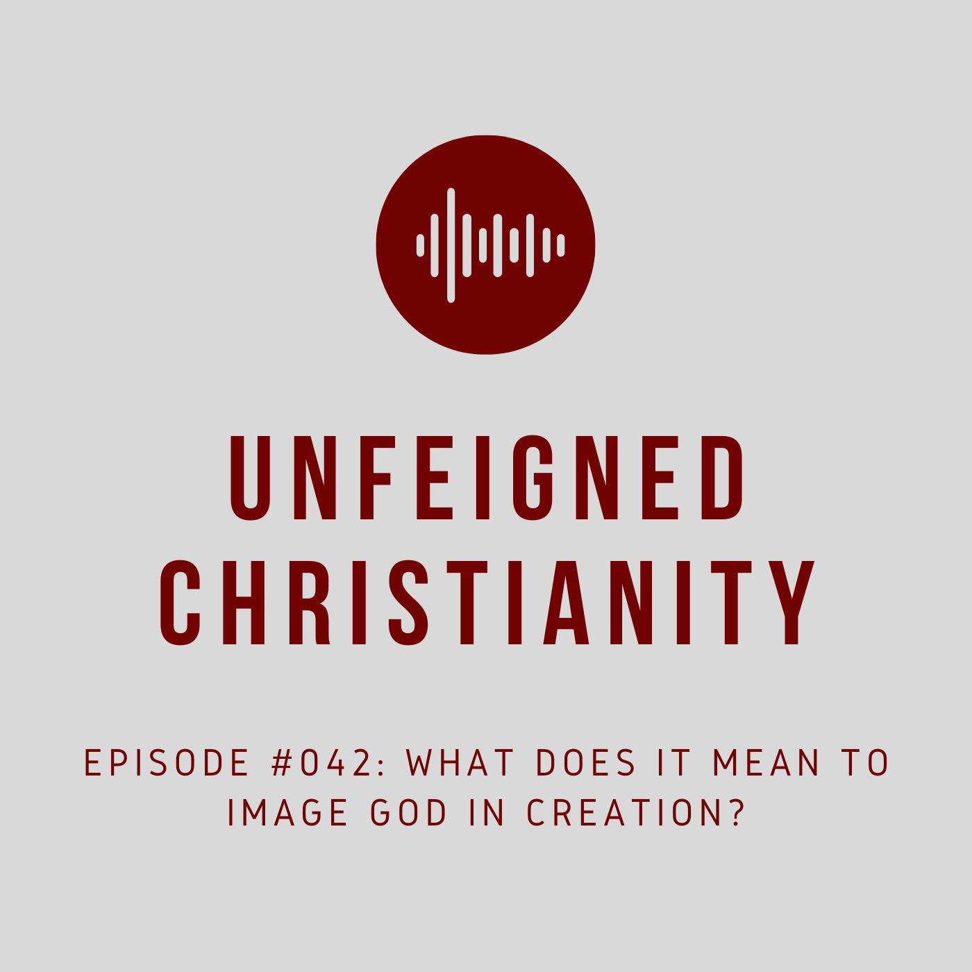 #042 - What Does It Mean to Image God in Creation?