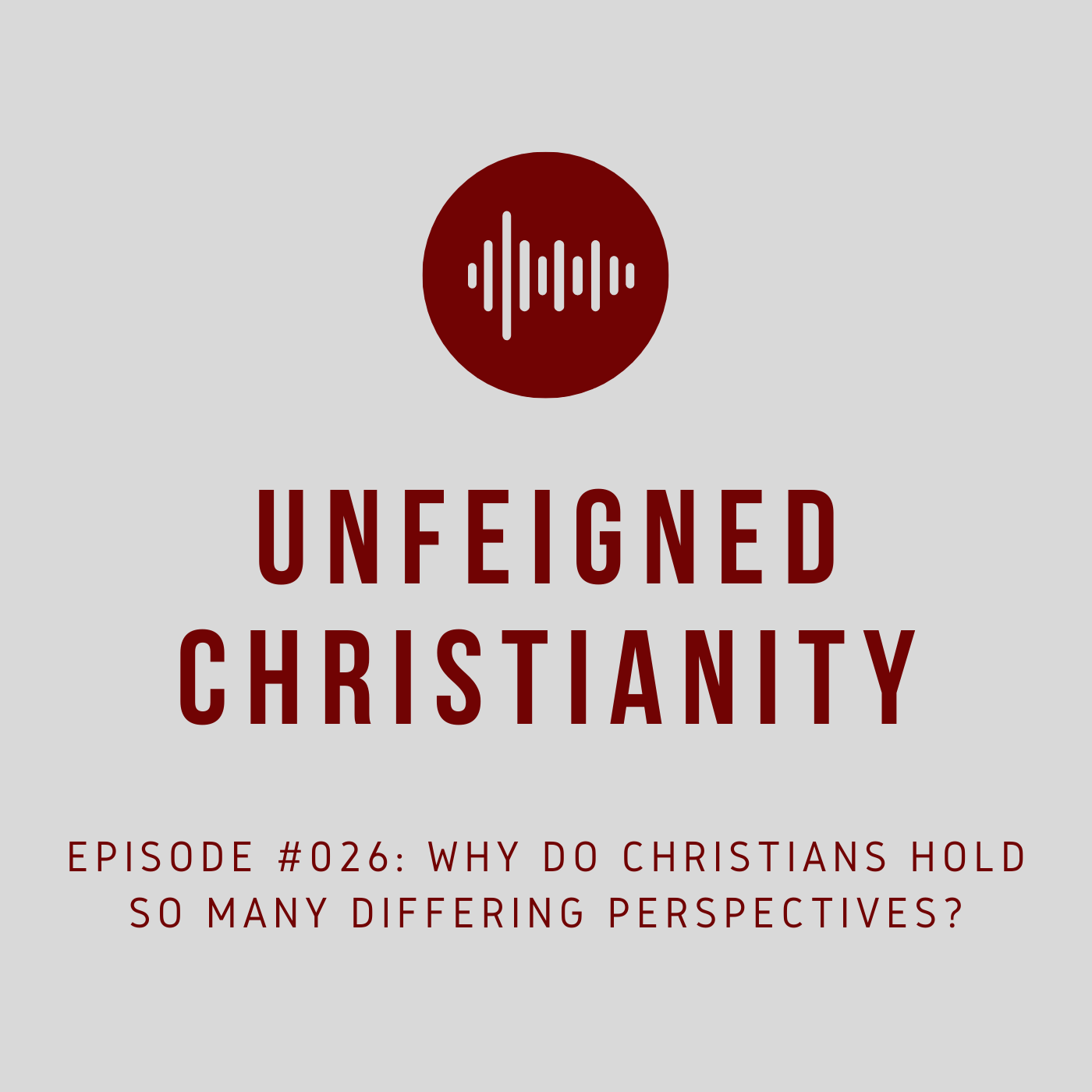 #026 - Why Do Christians Hold So Many Differing Perspectives?